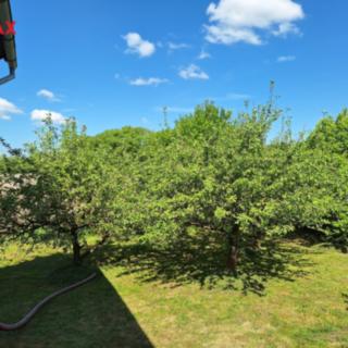 Prodej zahrady 399 m² Přešťovice