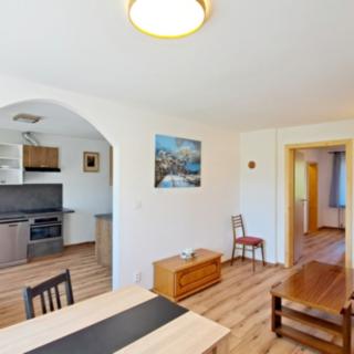 Pronájem bytu 2+1 56 m² Horní Planá, V Domkách