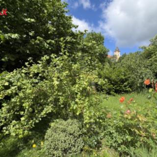 Prodej zahrady 290 m² Vimperk