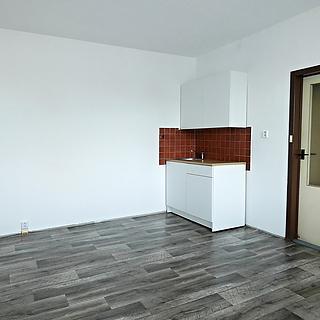 Pronájem bytu 2+kk 42 m&sup2; České Budějovice