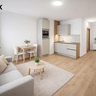 Pronájem bytu 1+kk a garsoniéry 31 m² Horní Planá, Jiráskova