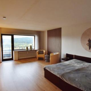 Prodej bytu 1+kk, garsoniery 39 m² Strážný