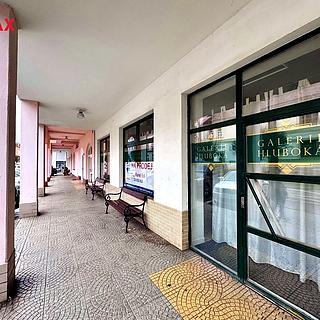 Prodej obchodu, 219m&sup2;