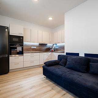 Prodej bytu 2+kk 40 m² České Budějovice 3, K. Weise