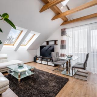 Prodej bytu 3+kk 62 m² Včelná