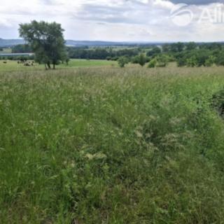 Prodej louky 4 354 m² Lipník nad Bečvou V-Podhoří
