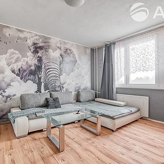 Prodej bytu 2+1 45 m&sup2; Ostrava