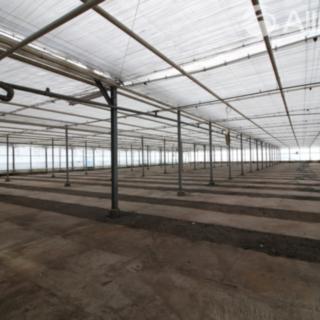 Pronájem skladu 2300 m² Brno