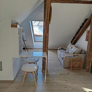 Pronájem bytu 1+kk a garsoniéry 30 m² Hodonín, Horní Plesová