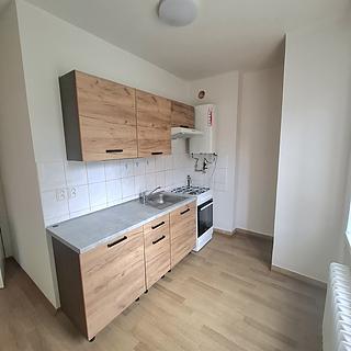 Prodej bytu 2+1 52 m² Břidličná