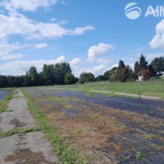 Pronájem zemědělské půdy 3000 m² Brno