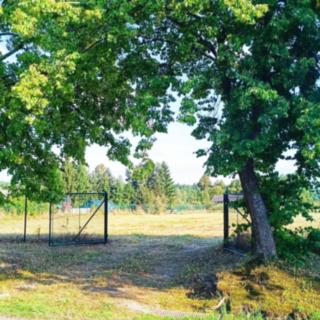 Prodej stavební parcely 1421 m² Jílovice