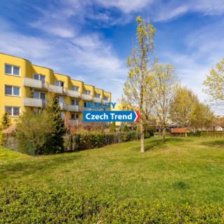 Pronájem bytu 1+1 47 m² Olomouc Nová Ulice, Okružní