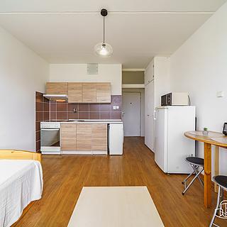 Prodej bytu 1+kk a garsoniéry 20 m² Sokolov, Švabinského
