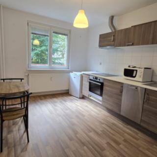 Pronájem bytu 2+1 56 m² Sokolov, Karla Čapka