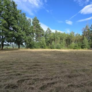 Prodej ostatního pozemku 3 887 m² Cheb Dřenice