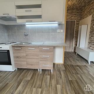 Pronájem bytu 1+1 36 m² Sokolov, Jelínkova