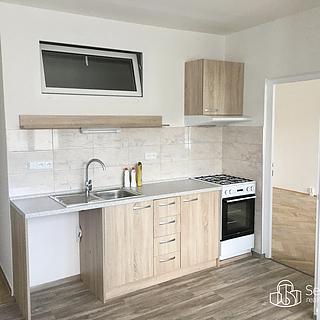 Pronájem bytu 1+1 43 m² Sokolov, Švabinského