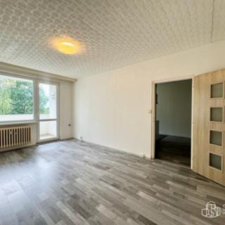 Pronájem bytu 1+1 45 m² Sokolov, Švabinského