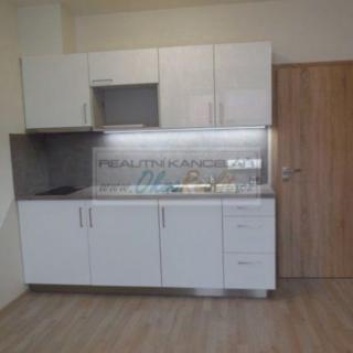 Pronájem bytu 1+kk a garsoniéry 30 m² Brno Slatina, Tilhonova