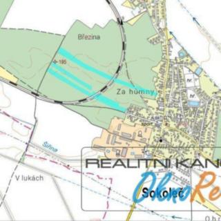 Prodej lesa 115 192 m² Sokoleč, Poděbradská