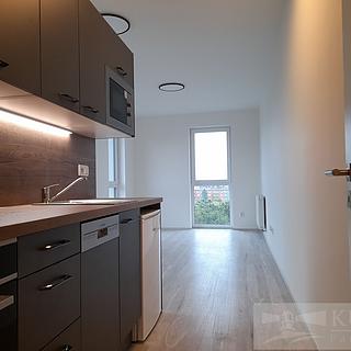 Pronájem bytu 1+kk a garsoniéry 34 m² Plzeň Jižní Předměstí, Goldscheiderova