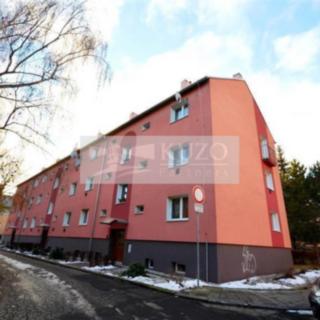 Pronájem bytu 2+1 47 m², Karla Buriana