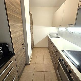Pronájem bytu 3+kk 60 m² Praha Břevnov, Radimova
