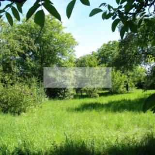 Prodej stavební parcely 1 635 m² Praha Suchdol, Bažantní