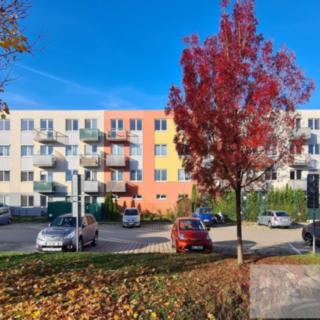 Pronájem bytu 2+kk 35 m² Jesenice