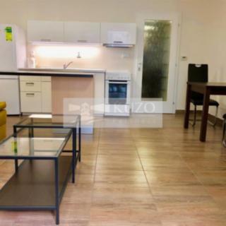 Pronájem bytu 1+kk, garsoniery 37 m² Brno