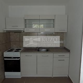 Pronájem bytu 2+kk 44 m² Březnice