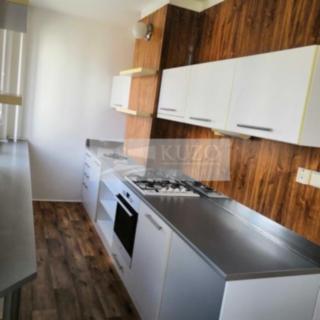 Pronájem bytu 2+1 53 m² Chomutov, Bezručova