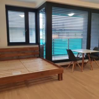 Pronájem bytu 1+kk a garsoniéry 36 m² Praha Holešovice, U průhonu