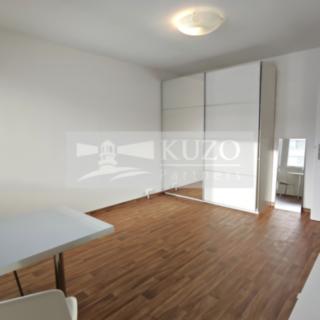 Pronájem bytu 1+kk a garsoniéry 27 m² Praha Podolí, Kaplická