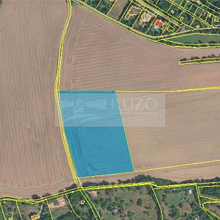 Prodej zemědělské půdy 17536 m² Praha