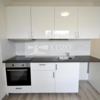 Pronájem bytu 1+1 35 m² Chomutov, Kostnická
