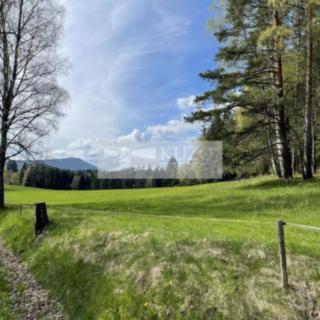 Prodej louky 89 843 m² Volary