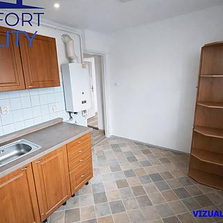 Prodej bytu 1+1 30 m&sup2; Ostrava