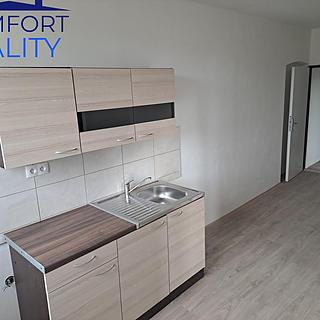 Pronájem bytu 2+1 60 m² Střítež