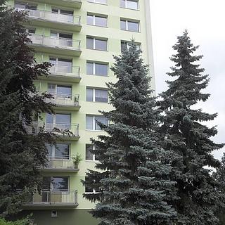 Pronájem bytu 2+1 60 m² Tábor, Sokolovská