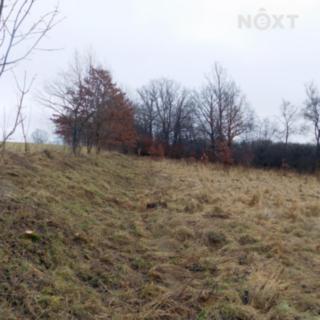 Prodej louky 3 412 m² Krasíkov