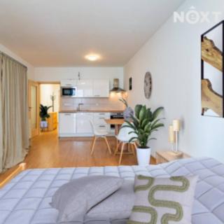 Pronájem bytu 1+kk a garsoniéry 36 m² Olomouc Nové Sady, Rokycanova