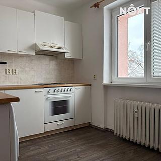 Pronájem bytu 1+1 29 m² Stochov