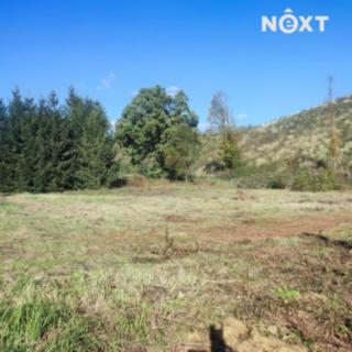 Prodej ostatního pozemku 2 666 m² Staré Buky Horní