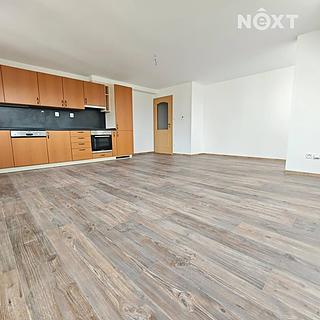 Prodej bytu 1+kk a garsoniéry 47 m² Černý Důl Fořt