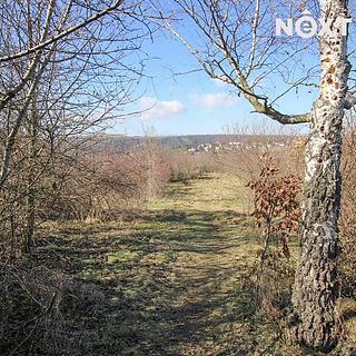 Pronájem zahrady 4956 m&sup2; Roztoky