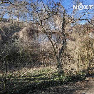 Pronájem zahrady 4244 m&sup2; Roztoky