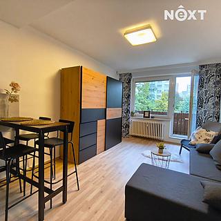Pronájem bytu 1+kk a garsoniéry 28 m² Bohumín Nový, Svat. Čecha