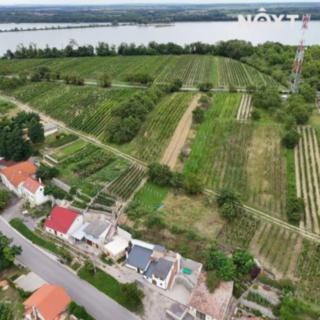 Prodej vinného sklepa 30 m² Jaroslavice
